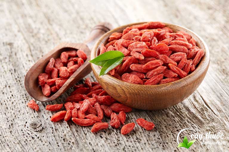 Câu kỷ tử có tác dụng tăng cường sinh lý nam giới